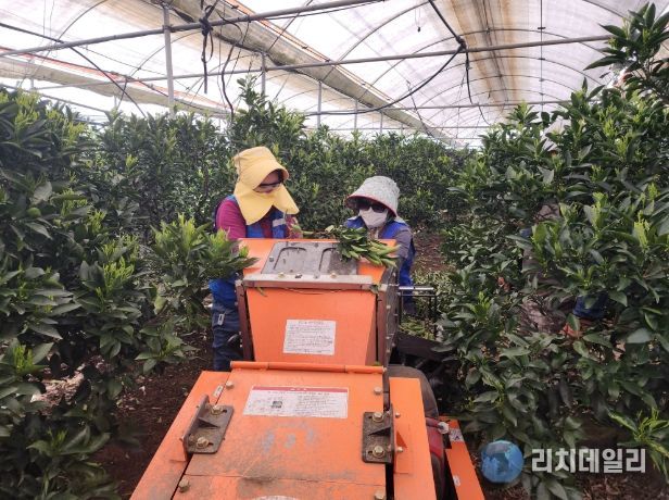 농번기 파쇄기 사용