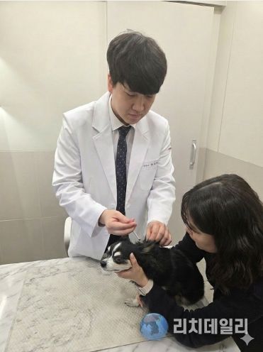 봄철 반려견 광견병 예방접종