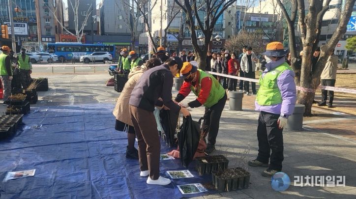 2025년 나무 나누어주기 행사 사진