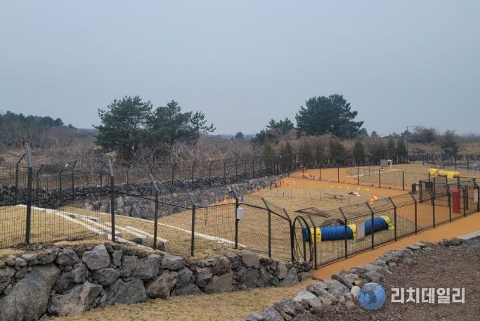 반려동물 놀이공원