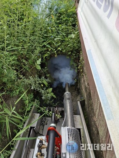 봄철 유충 감시 및 월동 모기 ‘선제적 방제’ 총력