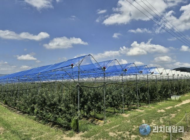 보은군, 스마트 과수원 특화단지 조성사업 본격 추진