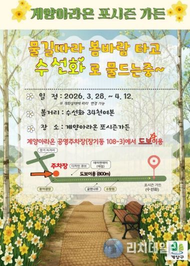 계양아라온, 수선화 개화 시작... 봄꽃 물결 본격화(포시즌가든)