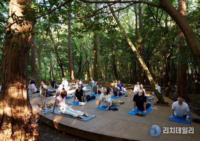 숲 요가