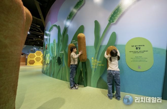 경기북부어린이박물관, 개관 10주년 맞아 상설전시 《자연숲, 작아져야 보이는 세계》 새롭게 선보여