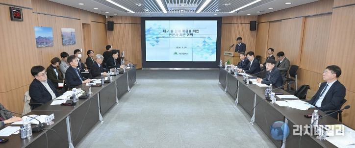 대구 물문제 해결을 위한 전문가 자문 회의