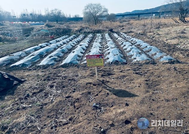 대구 북구, 금호강 불법행위 행정대집행 실시