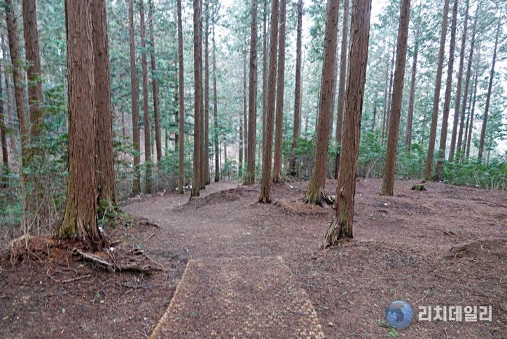고창치유의숲(출처_마케팅센터)