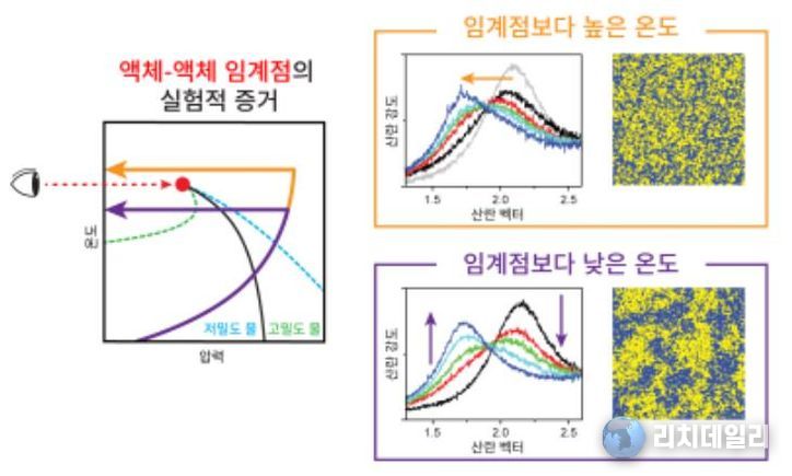 X선 자유전자 레이저를 활용해 관측된 액체-액체 임계점이 존재한다는 실험적 증거에 대한 모식도
