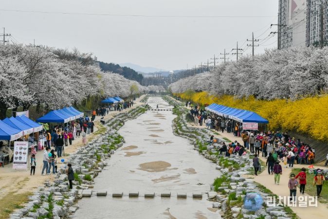 벚꽃과 함께하는 시민 어울림 한마당’