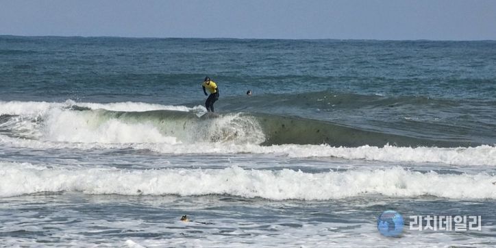 지난해 메이어스컵 서핑 챔피언십 대회
