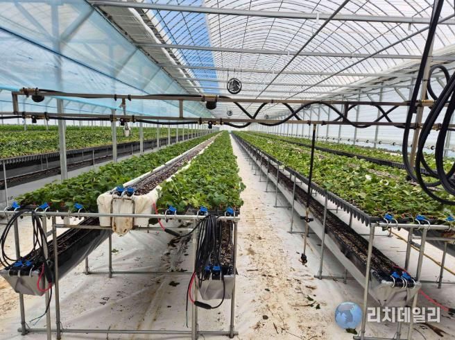 친환경농업육성기금 사진-하우스 운영자금