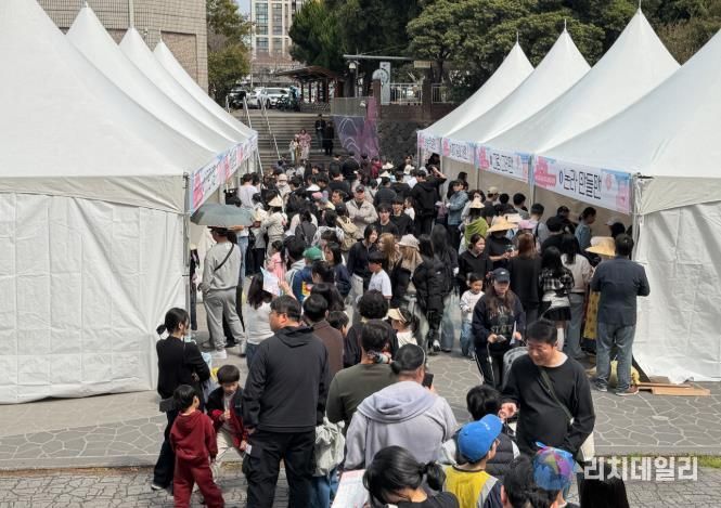 2026 청소년 벚꽃축제