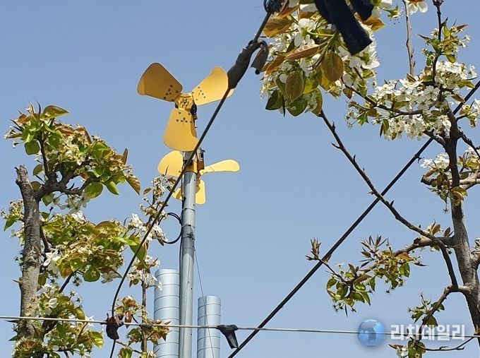 저온서리피해를 예방하기 위해 설치된 방상팬.