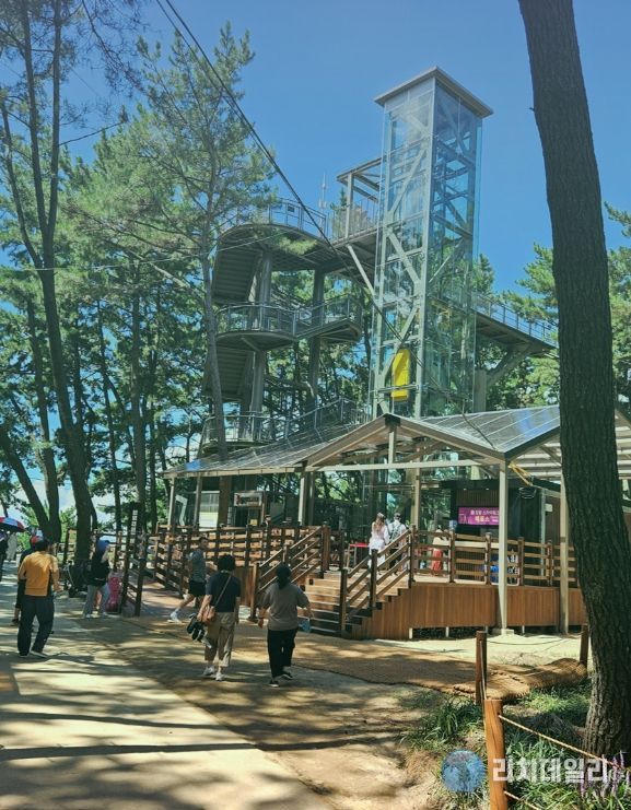 서천군, 장항스카이워크 운영시간 연장