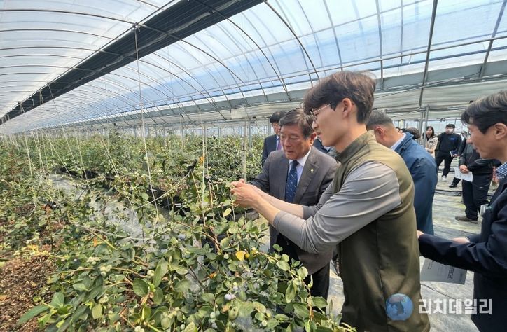 곡성군 관계자들이 블루베리 농가를 찾아 현장의 애로사항을 청취하고 있다.