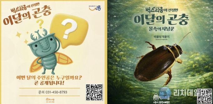 곤충전시체험관 벅스리움, 5일부터 신규 전시 '이달의 곤충' 운영