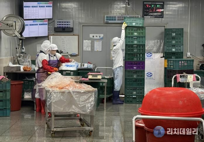 식품 제조기업 포장 사진