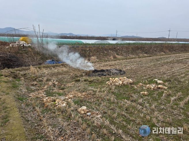 농촌지역 불법 소각 집중 단속 산불위기경보 ‘경계’ 격상