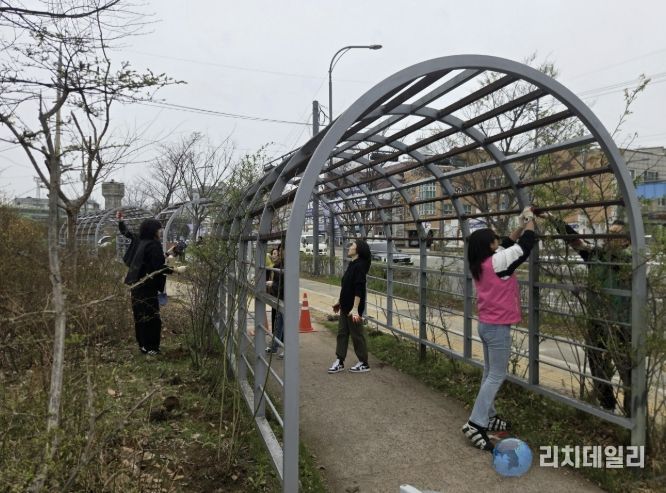 수원시 권선구 세류1동, 수원역 급수탑 인근 장미터널 새단장