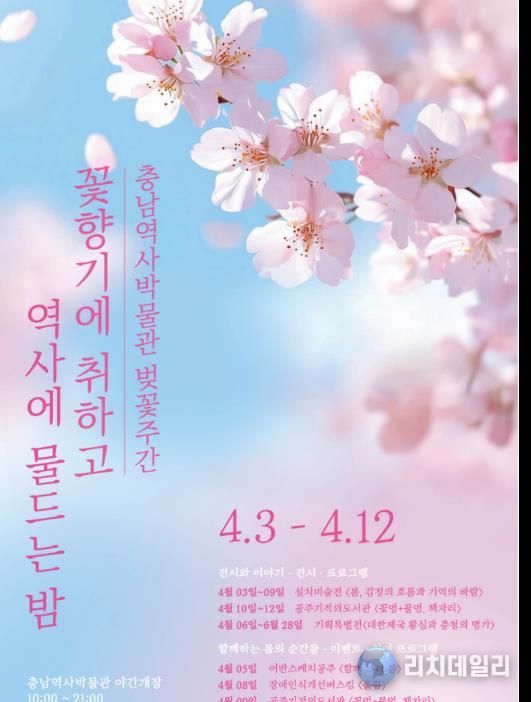 충남역사박물관, 벚꽃주간 행사'꽃향기에 취하고, 역사에 물드는 밤' 개최