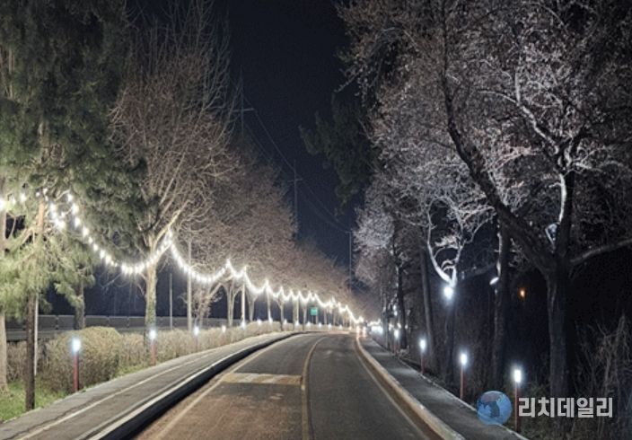 고인돌공원 왕벚꽃길 야간경관