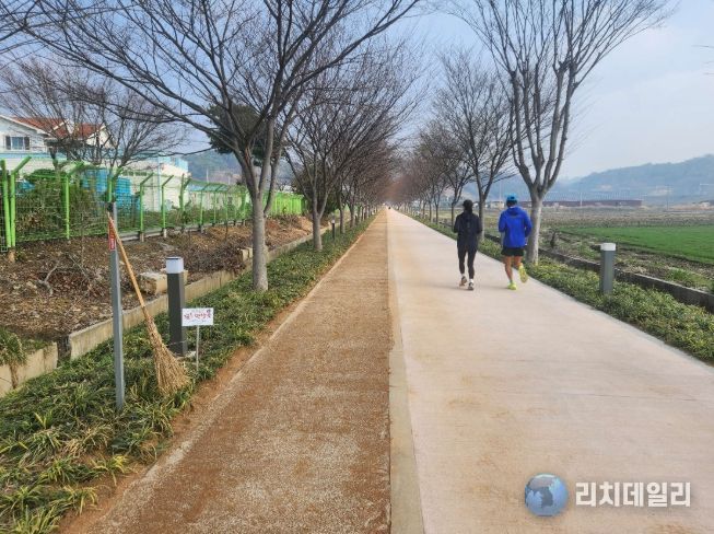 이용객 의견 반영한 맥문동 산책길 새단장