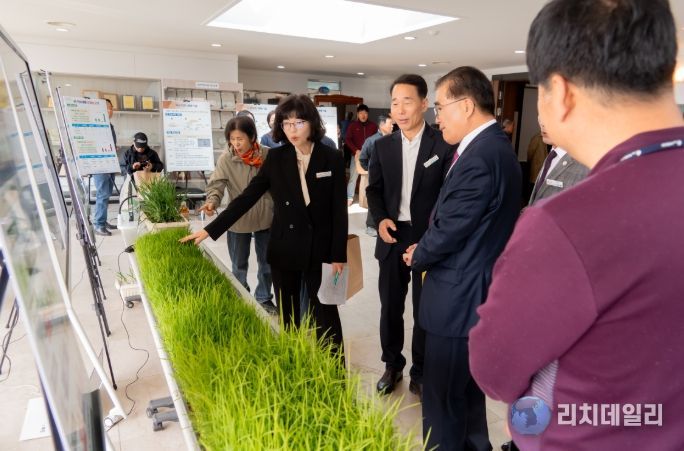 기후변화 대응 고품질 쌀 생산 교육
