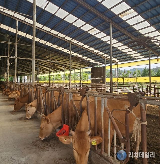 축산농가 사료 자금 551억 원 융자 지원