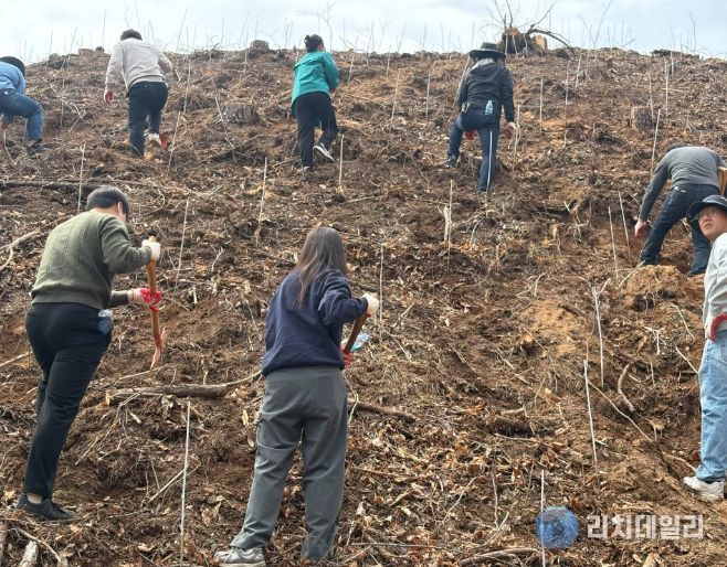 영동군, 제81회 식목일 나무 심기 행사
