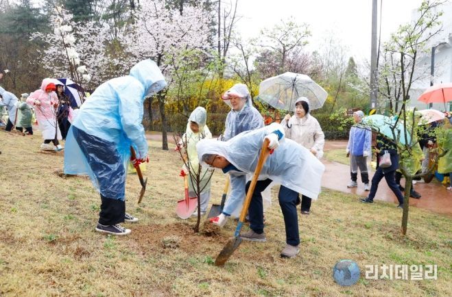 ‘금강소나무 식목행사’ 개최