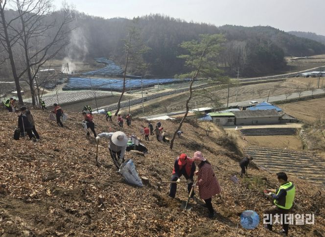 봉화군, 제81회 식목일 나무심기행사 개최