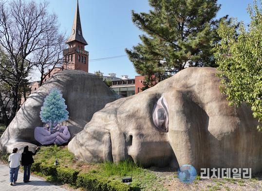 달서구, ‘이만옹’ 과 편백나무로 생명·세대 메시지 담은 상징 콘텐츠 공개