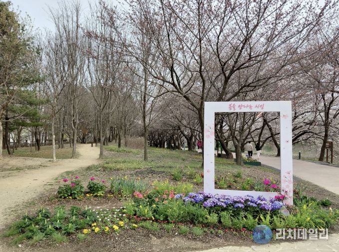 수원시 권선구 황구지천 산책로, 다채로운 꽃길과 벚꽃 포토존으로 주민 맞이