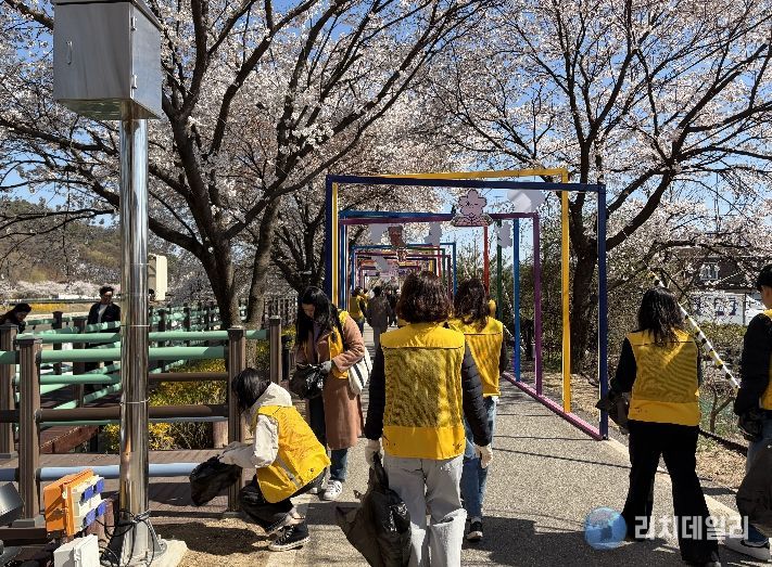 보은교육지원청, 벚꽃길에서 '너나들이'하며 청렴을 줍다