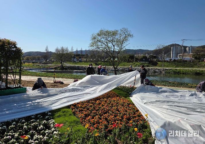 축제 대비 현장 관리 모습