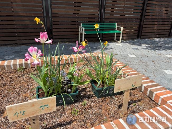 화분심기치유체험