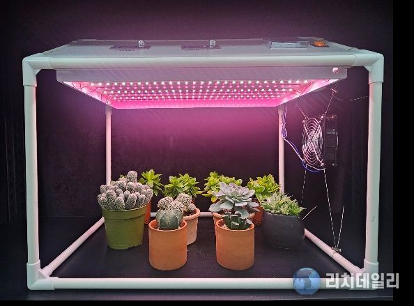 가정용 다육식물 생육상